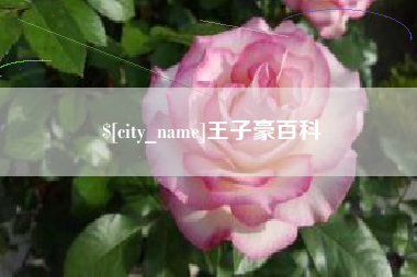 大兴安岭王子豪百科