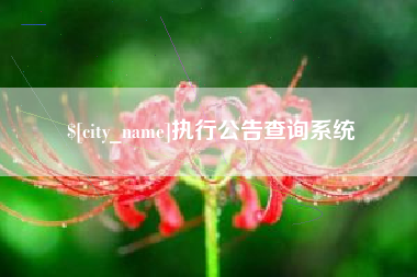 大兴安岭执行公告查询系统