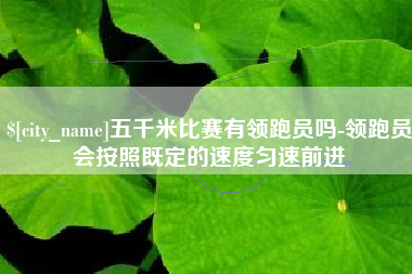 大兴安岭五千米比赛有领跑员吗-领跑员会按照既定的速度匀速前进