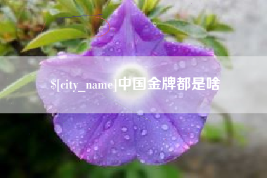 大兴安岭中国金牌都是啥