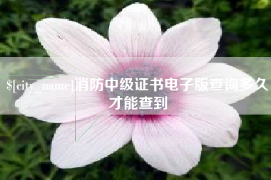 大兴安岭消防中级证书电子版查询多久才能查到