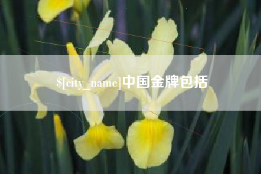 大兴安岭中国金牌包括