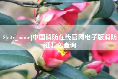 大兴安岭中国消防在线官网电子版消防证怎么查询