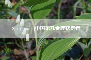 大兴安岭中国第九金牌获得者