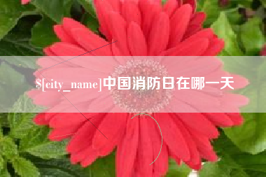大兴安岭中国消防日在哪一天