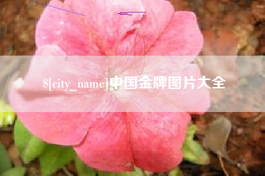 大兴安岭中国金牌图片大全