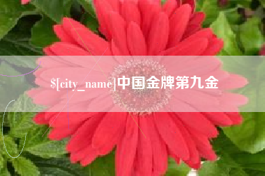 大兴安岭中国金牌第九金