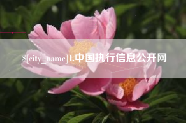 大兴安岭1.中国执行信息公开网