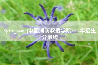 大兴安岭中国消防救援学院2024年招生分数线