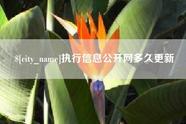 大兴安岭执行信息公开网多久更新