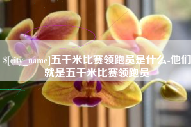 大兴安岭五千米比赛领跑员是什么-他们就是五千米比赛领跑员