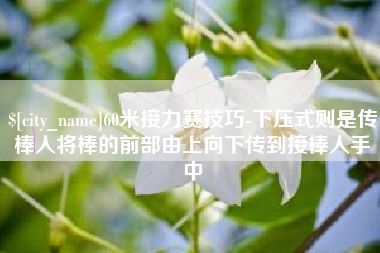 大兴安岭60米接力赛技巧-下压式则是传棒人将棒的前部由上向下传到接棒人手中