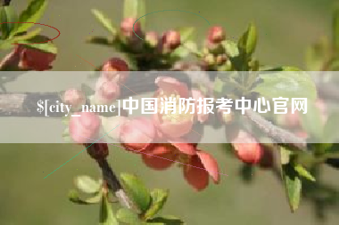 大兴安岭中国消防报考中心官网