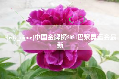 大兴安岭中国金牌榜2024巴黎奥运会最新