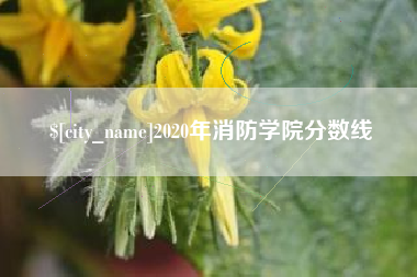 大兴安岭2020年消防学院分数线