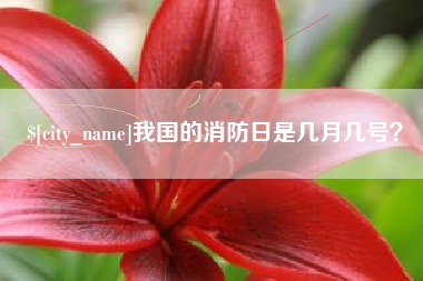 大兴安岭我国的消防日是几月几号？