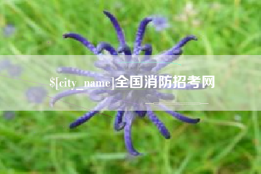 大兴安岭全国消防招考网