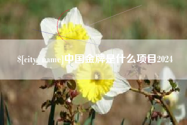 大兴安岭中国金牌是什么项目2024