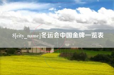 大兴安岭冬运会中国金牌一览表