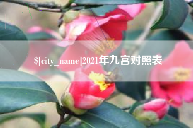 大兴安岭2021年九宫对照表