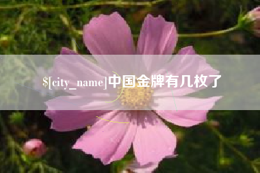 大兴安岭中国金牌有几枚了