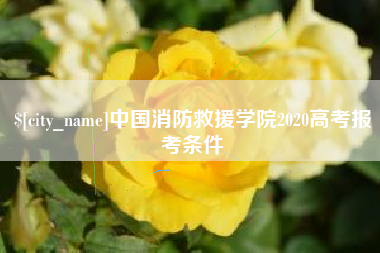 大兴安岭中国消防救援学院2020高考报考条件
