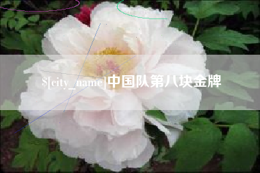 大兴安岭中国队第八块金牌
