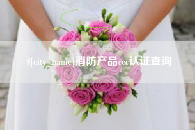 大兴安岭消防产品ccc认证查询