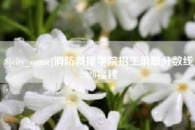 大兴安岭消防救援学院招生录取分数线2020福建