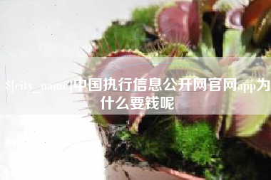 大兴安岭中国执行信息公开网官网app为什么要钱呢
