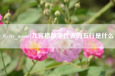 大兴安岭九宫格数字代表的五行是什么