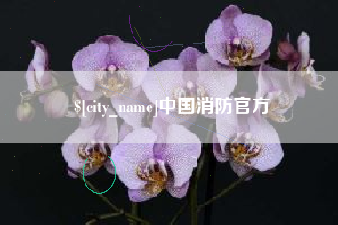大兴安岭中国消防官方