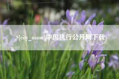 大兴安岭中国执行公开网下载