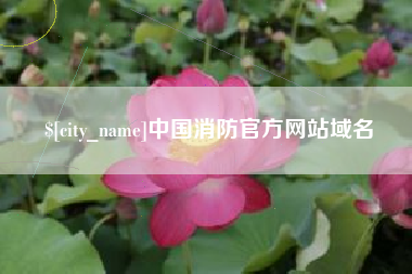 大兴安岭中国消防官方网站域名