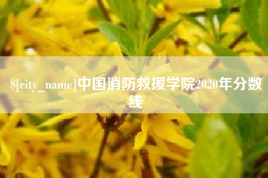 大兴安岭中国消防救援学院2020年分数线