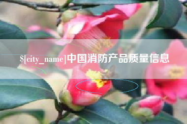 大兴安岭中国消防产品质量信息