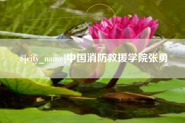 大兴安岭中国消防救援学院张勇