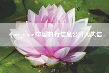 大兴安岭中国执行信息公开网失信