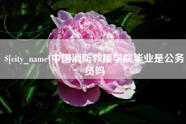 大兴安岭中国消防救援学院毕业是公务员吗