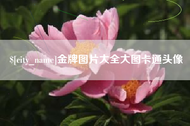 大兴安岭金牌图片大全大图卡通头像