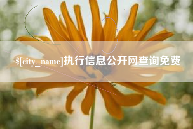 大兴安岭执行信息公开网查询免费